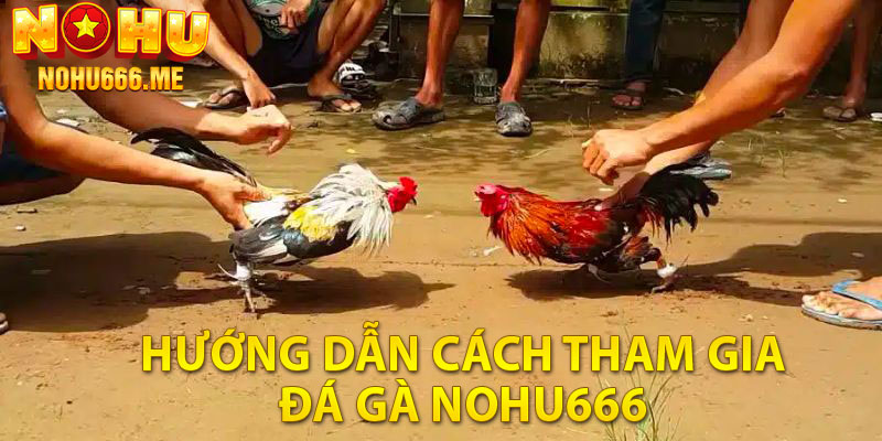 Hướng dẫn cách tham gia đá gà Nohu666